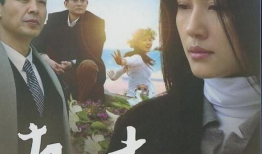 柏青演过的电视剧,从经典剧集到时代印记