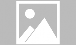 怎么查看吃瓜爆料信息记录