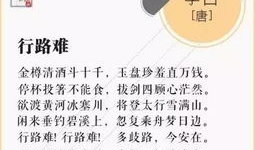 琵琶行动漫,穿越时空的旋律传奇