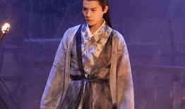 郑业成主演的电视剧,穿越时空的浪漫邂逅